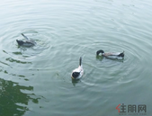 北海“获得电力”三大指标达全国前十水平