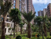 2020年底前 不动产登记压缩到5个工作日内