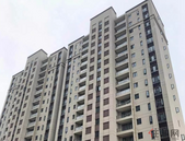 【贵港碧桂园】三月家书|温暖如期 幸福渐近