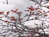 我市开展政策性粮食库存大清查