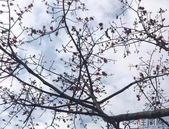 住房和城乡建设部：建筑工人启动实名制管理