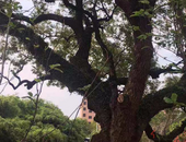 北京不动产登记信息网上查询将开通