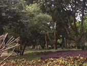 2月百城住宅均价环比涨幅持续收窄