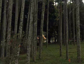 房企优化架构 加快资金回笼