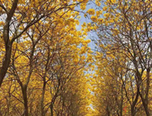 今年沈阳公租房向承担公共服务的群体倾斜