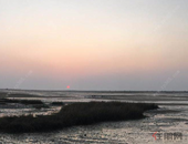 以快打快 你抢建我快拆