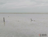 北海高新区“**排名”一年提升9位