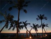 2019年迎更大规模减税降费 深化增值税改革是重点