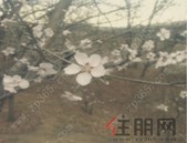 我市召开扫黑除恶专项斗争警示教育大会