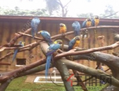 王乃学深入我市部分重点项目征地搬迁组督查调研时强调