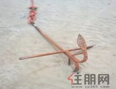 全国智标委副主任马虹：绿色智慧社区标准正在编制