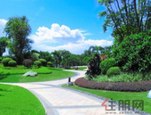 开展共青团基层建设整顿