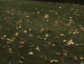 调研督导巡视整改工作