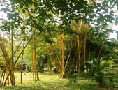 2月地方楼市调控政策发布20余次 基调以“稳”为主