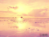 重点城市楼市成交量锐减 房企三强开年销售放缓