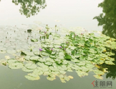 楼市定调释放8大信号 更好解决群众住房问题