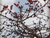 政府工作报告极简版来了！