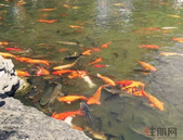 创新文物保护方法 加快推进申遗工作