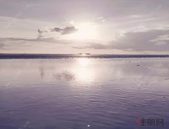 2018年北海外贸进出口总值突破300亿