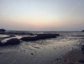 市供水公司召开2018年度党组织书记落实主体责任述职评议会