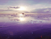 百强房企新增货值占比接近五成 年初房企投资更趋稳健