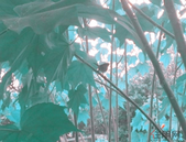 上月南京房屋租金环比微涨0.2% 升至40.7元/m2/月