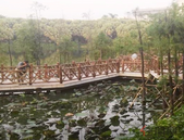 文爱华代表：推进基本公共服务 均等化加快“租购同权”落地