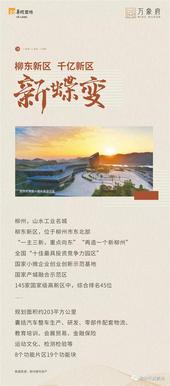 《大数据带你看柳东》长图系列之一：柳东荣耀