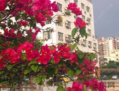 3月 三四线城市房价平均环比上涨0.196%