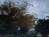 确保假日旅游安全有序