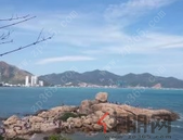 召开全市扫黑除恶专项斗争监督执纪问责推进会