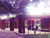 入户广州 **需169分