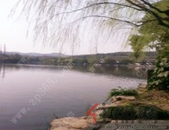 广西今年将改造6万户农村危房