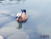 市人大常委会审议通过北海市城市总体**局部调整方案等议案