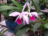 我市今年拟培训920名扫黑除恶“农村能手”