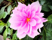 江苏长租物业再添新助力 国内首只长租物业基金昨成立