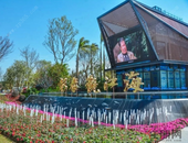 不想当米其林的业主之家，不是好售楼部！