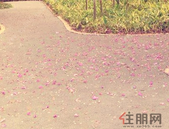 蔡锦军主持召开市政府常务会