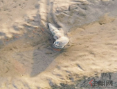 以政治建设为统领 实现对党对人民负责高度统一