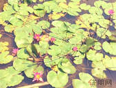 30强房企新增货值1.2万亿元 二线城市成角逐战略要地