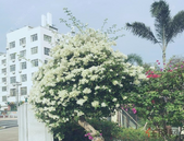 北京海淀法院提醒:互联网分期租房已引发诸多纠纷