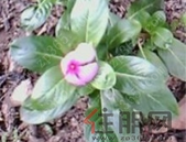 市委巡察组向各被巡察单位党组织反馈十一届市委第七轮巡察情况