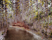 软件信息服务业增速全区**