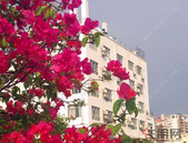 广西危旧房改改造配建商业例不能超过10%