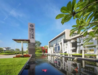 【新力珑湾】“8”字头起，置业大湾区！