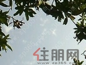 担当尽责 推动经济社会高质量发展