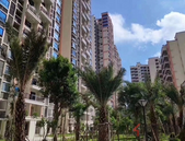 数万亿房地产信托投资基金 助燃长租公寓市场