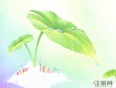 2018年度环境质量改善成效明显 柳州获自治区240万奖励