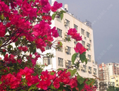 土地市场迎来“小阳春”：300城土地楼面均价回升 房企拿地热情高涨