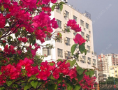 北海牵手中青旅联盟开发旅游市场